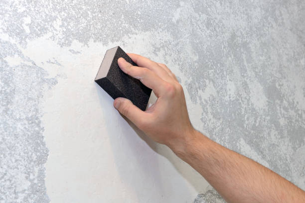 Best Industrial Mold Remediation  in Bisbee, AZ