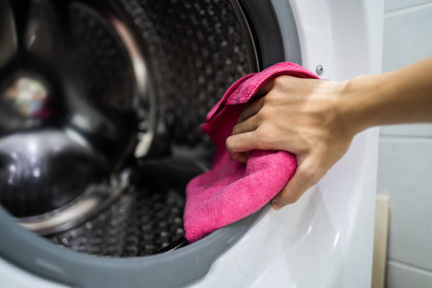 Best Mold Odor Removal Services  in Bisbee, AZ