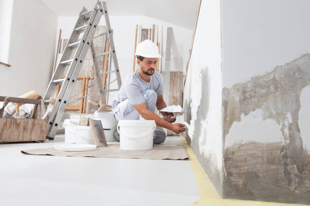 Best Asbestos and Lead Testing During Mold Inspection  in Bisbee, AZ