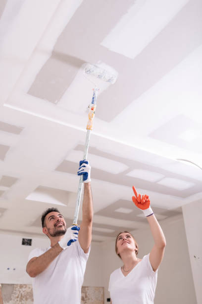 Best Environmental Consulting for Mold Prevention  in Bisbee, AZ