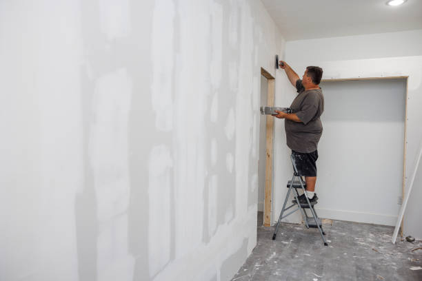 Best Mold Documentation for Insurance Claims  in Bisbee, AZ
